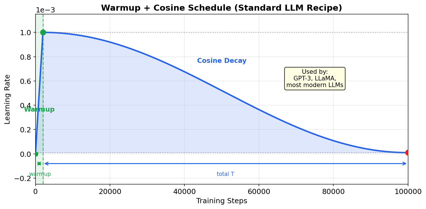 Warmup + Cosine Schedule